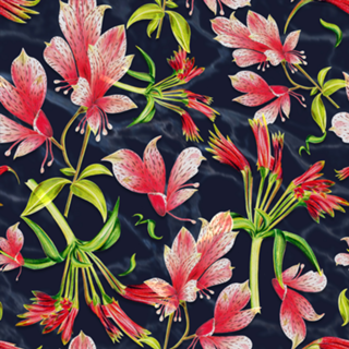 Floral Astromélias