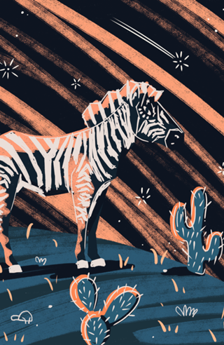 Night Zebra