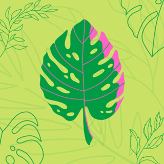 Folha verde