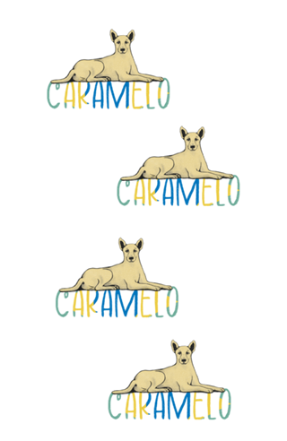 Vira Lata Caramelo Brasil Brand