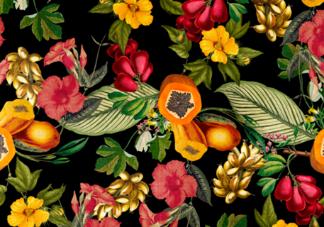 FLORESTA DE FRUTAS