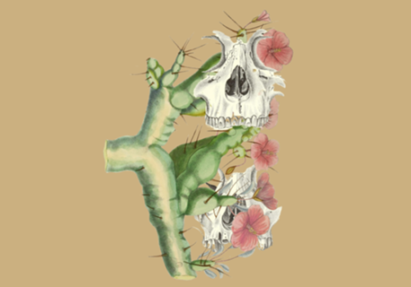 Cactus and Bones