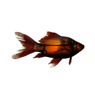 Camiseta Peixe e Pescaria Reversa