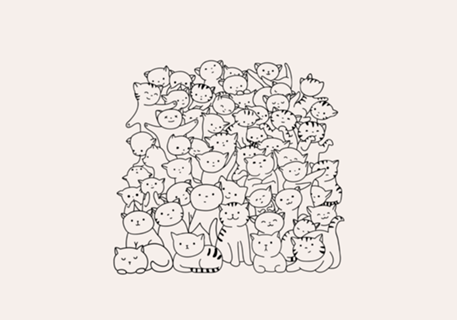 Gato Gato & mais Gatos