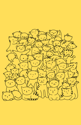 Gato Gato & mais Gatos