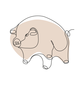 Pig Floyd