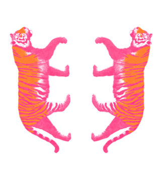 Tigre de Boas