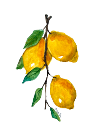 Doces limões