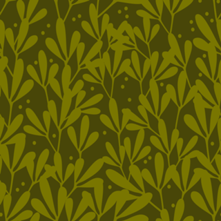 Algas em verde