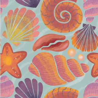 Seashells