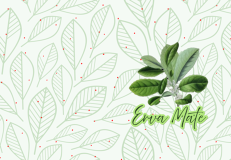 Erva Mate