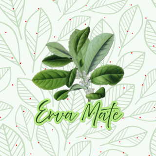 Erva Mate