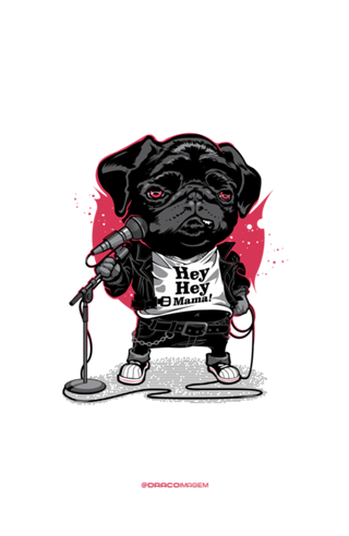 Black Dog