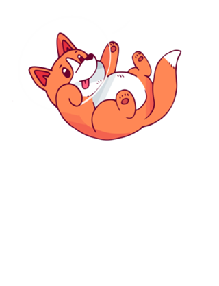 Corgi Lost in Space