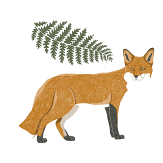 Raposa Spirit Animal