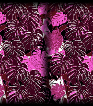 Folhas Tropicais Monstera - Rosa