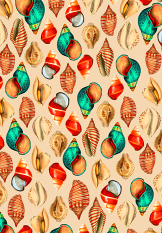 Seashell