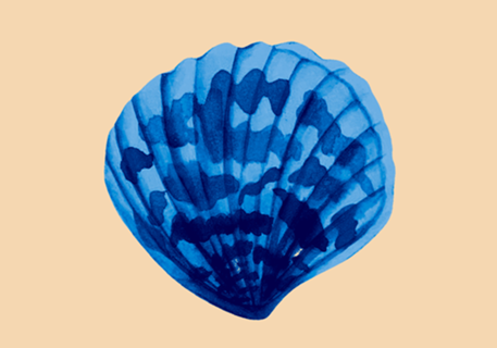 Concha II