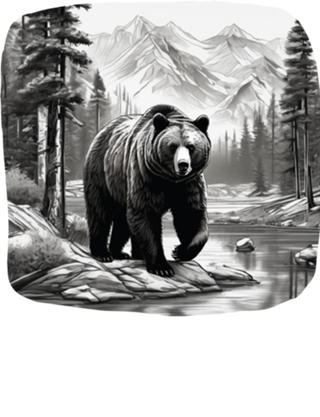 URSO SELVAGEM
