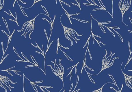 Tulipa | studio maré ✺ 1