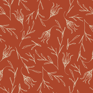 Tulipa | studio maré ✺ 2