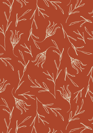 Tulipa | studio maré ✺ 2