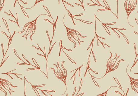 Tulipa | studio maré ✺ 6