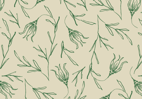 Tulipa | studio maré ✺ 7