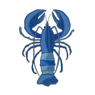 Lagosta Azul