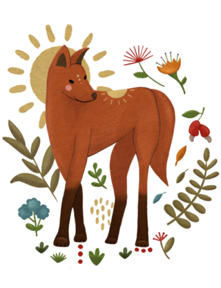 Lobo-Guará - O guardião do cerrado