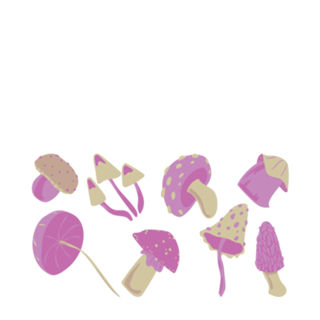 Cogumelos