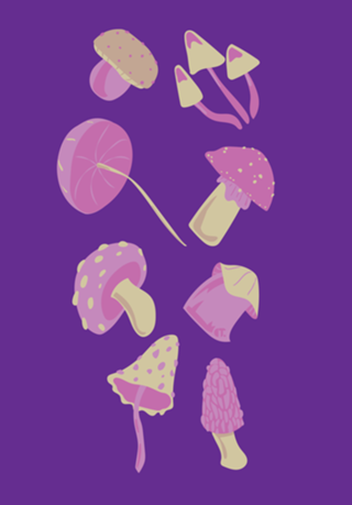 Cogumelos