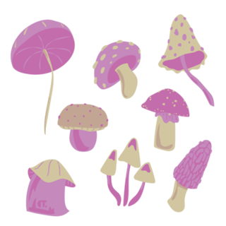 Cogumelos