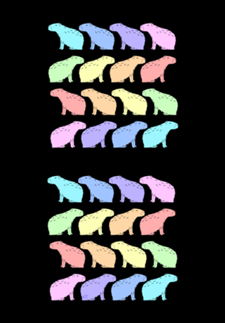Rainbow Capivara
