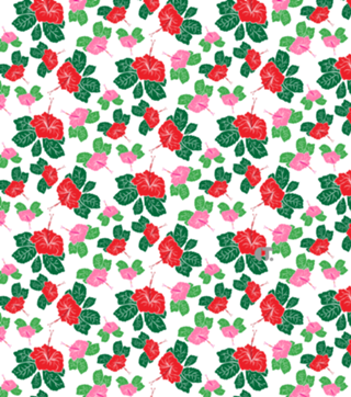 Hibisco