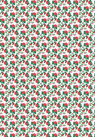 Hibisco