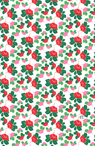 Hibisco