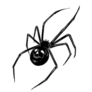 Spider Skull