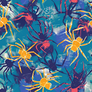 Aranhas psicodélicas - 5% OFF cupom Y5Z6M2