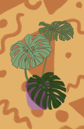 Monstera fun