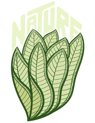 Nature Folhas