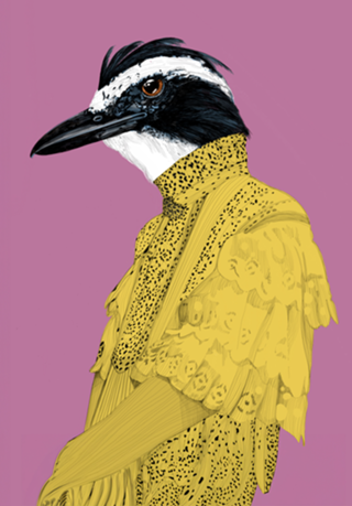 Metamorphus - Bem-Te-Vi Flat