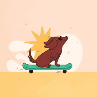 Pawride
