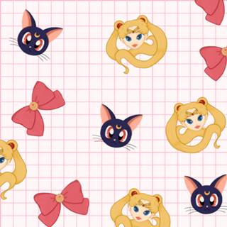 Sailor moon