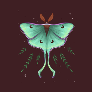 Mariposa