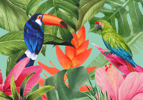 Papagaio + Tucano + Flores