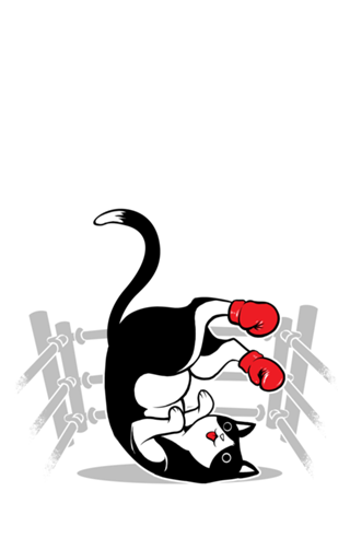 Boxer Cat