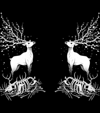Life After Death Reborn