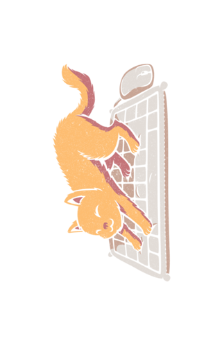 Cat Keyboard No Personal Space