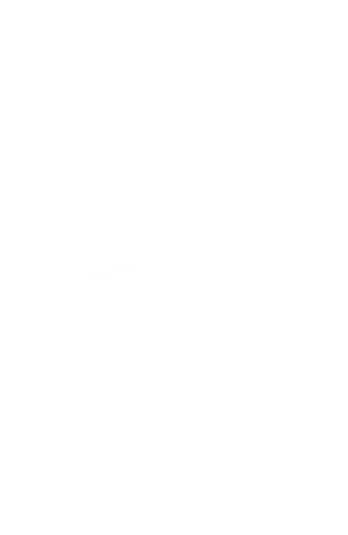 Pasta Cats Ramen Catti Spaghetti